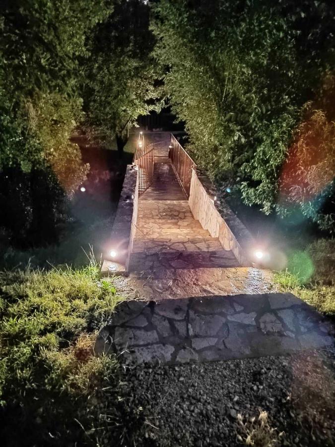 Brvnare Ala Vrdnik Villa ภายนอก รูปภาพ