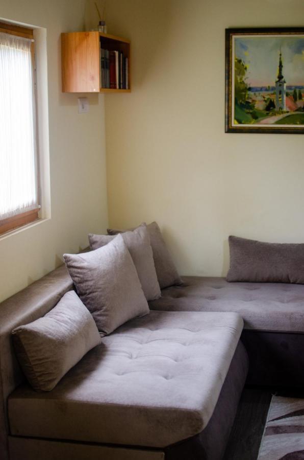 Brvnare Ala Vrdnik Villa ภายนอก รูปภาพ